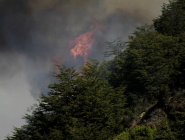 32 incendios forestales se encuentran activos entre la región Metropolitana y la de Aysén