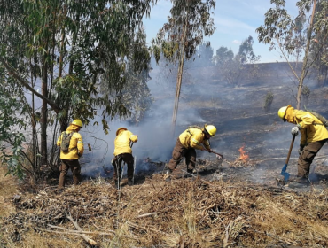 En prisión preventiva quedó imputado por incendio forestal en La Araucanía