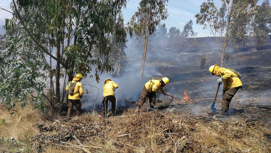 En prisión preventiva quedó imputado por incendio forestal en La Araucanía