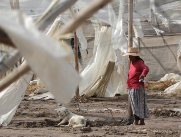 Restauración por inundaciones, terremoto e incendios forestales costará $128 mil millones