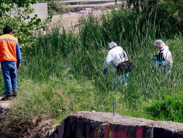 Detienen a joven que presenció el homicidio de Aylin Fuentes en la región del Maule