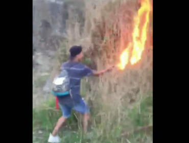 Adolescente se grabó junto a sus amigos iniciando un incendio forestal en Coronel