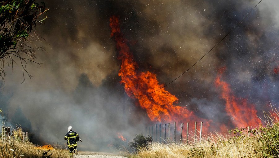 Conaf: 33 de los 124 incendios forestales a nivel nacional se encuentran activos