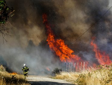Conaf: 33 de los 124 incendios forestales a nivel nacional se encuentran activos