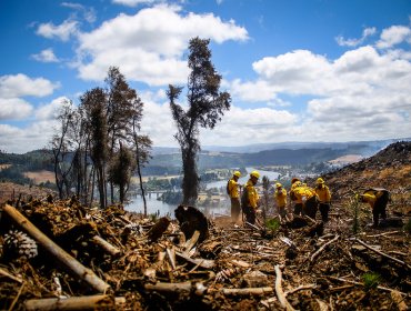 Reconstrucción de viviendas destruidas en incendios de La Araucanía culminará el 2020