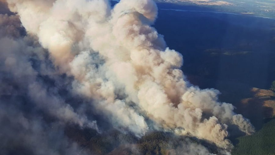 Onemi ordena evacuar sectores de Nacimiento por avance de incendio forestal