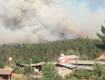 Declaran Alerta Roja en Coelemu y Chillán por incendios forestales