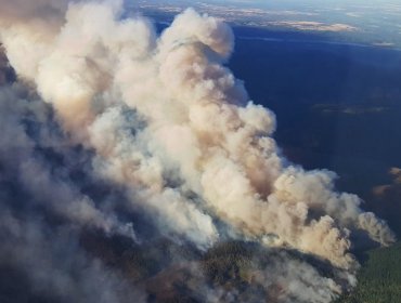 Onemi ordena evacuar sectores de Nacimiento por avance de incendio forestal