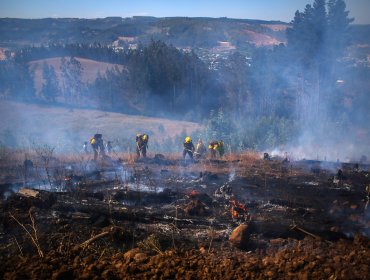 Incendios forestales en La Araucanía han dejado 50 damnificados y 38 viviendas quemadas