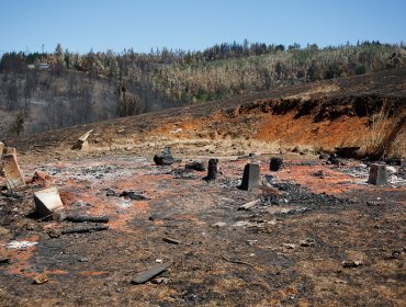 Incendios forestales en La Araucanía han afectado a 16.813 hectáreas