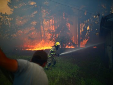 Incendio forestal descontrolado en La Araucanía obliga a evacuar sector de Pitrufquén