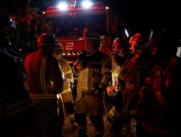 Ministerio de Agricultura asegura que incendios forestales en Ñuble "están controlados”