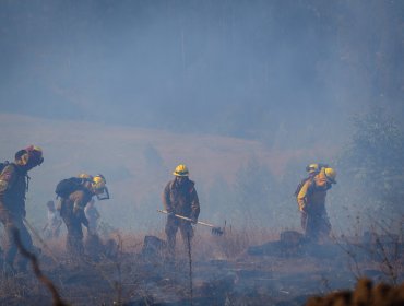 Temperaturas comenzarán a bajar en regiones afectadas por incendios forestales