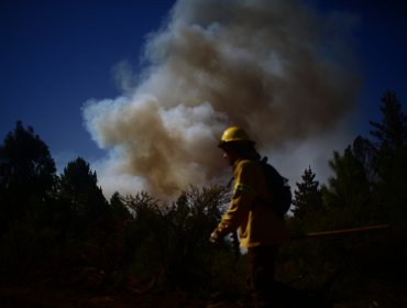 Cinco sujetos quedaron detenidos por provocar incendio forestal en Ancud