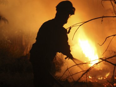 Brigadistas Conaf de Angol amenazan con paralización en plena emergencia de incendios forestales