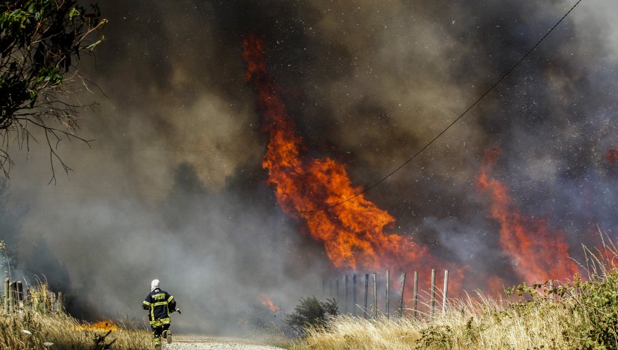 Suben a 53 mil las hectáreas afectadas por incendios forestales en el país