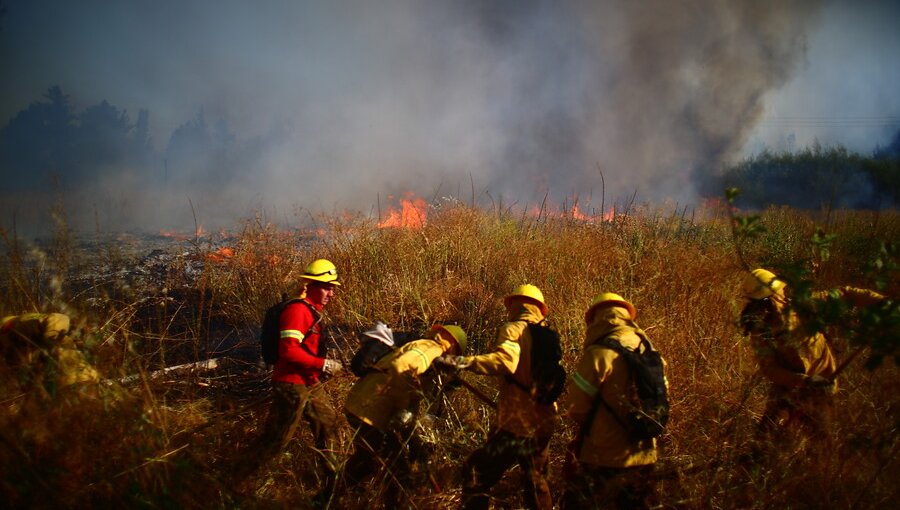 Gobierno se querella contra seis personas por incendios forestales en Los Lagos