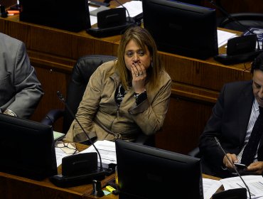 Jacqueline Van Rysselberghe sólo intervino en seis sesiones de sala del Senado en 2018