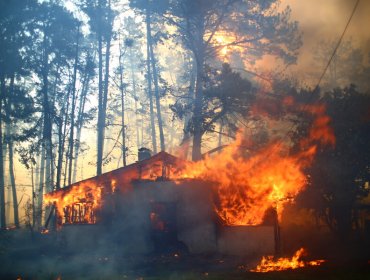 Cadem: 51% cree que el gobierno reaccionó tarde a emergencias en el norte y en el sur