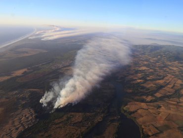 Conaf: 28 de los 80 incendios forestales en el país se encuentran activos