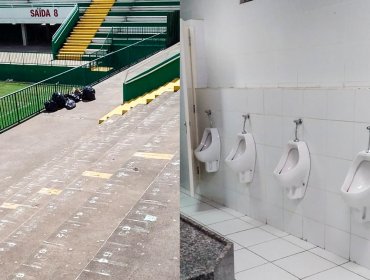 Hinchas de Unión La Calera limpiaron la galería del estadio en Brasil