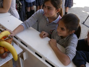 Niños de pre kínder a primero básico aumentaron en sobrepeso y obesidad