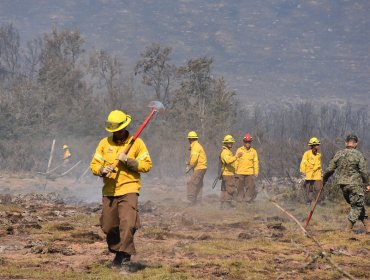 Quema de basura y pastizales habría iniciado incendio forestal en Cochrane