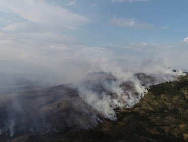 Incendio en Cochrane está contenido y sin avance, pero alcalde pide "no bajar la guardia"