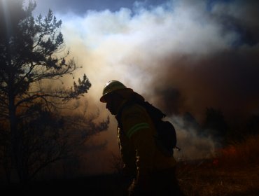 Conaf reporta 49 incendios forestales a nivel nacional: 16 se encuentran activos