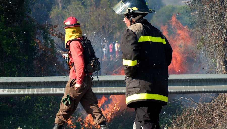 Incendios forestales en Olmué y La Ligua movilizan a equipos de emergencia