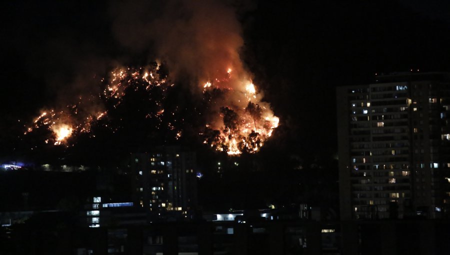 Incendio Forestal en Cerro San Cristobal: Evacuan a los animales del zoológico metropolitano