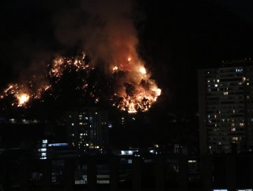 Incendio Forestal en Cerro San Cristobal: Evacuan a los animales del zoológico metropolitano