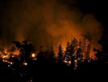 Onemi: 21 de los 62 incendios forestales a nivel nacional se encuentran activos