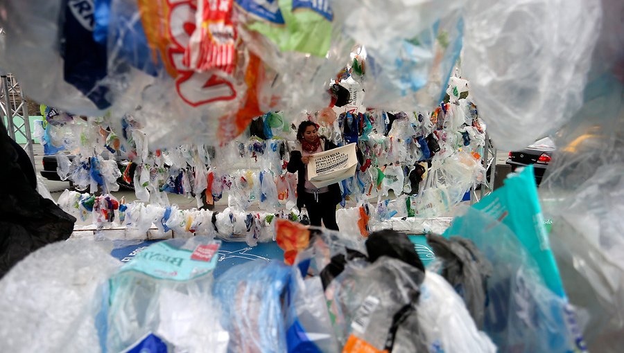 Farmacia destaca haber sacado de circulación más 2 millones de bolsas plásticas durante un año