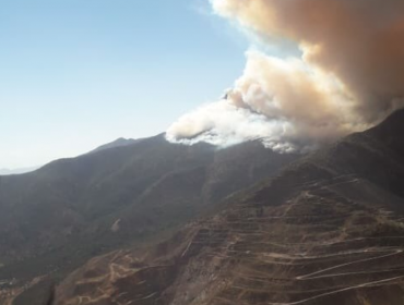 Cerro Bustamante: Activo se mantiene incendio forestal entre Pudahuel y Curacaví