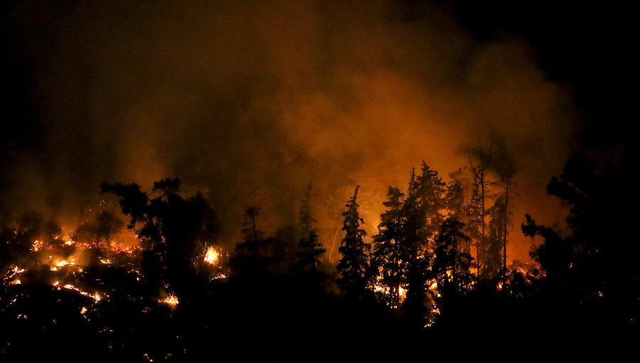 Onemi: 21 de los 62 incendios forestales a nivel nacional se encuentran activos