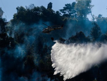 Incendio forestal registrado en el Cerro San Cristóbal fue extinguido