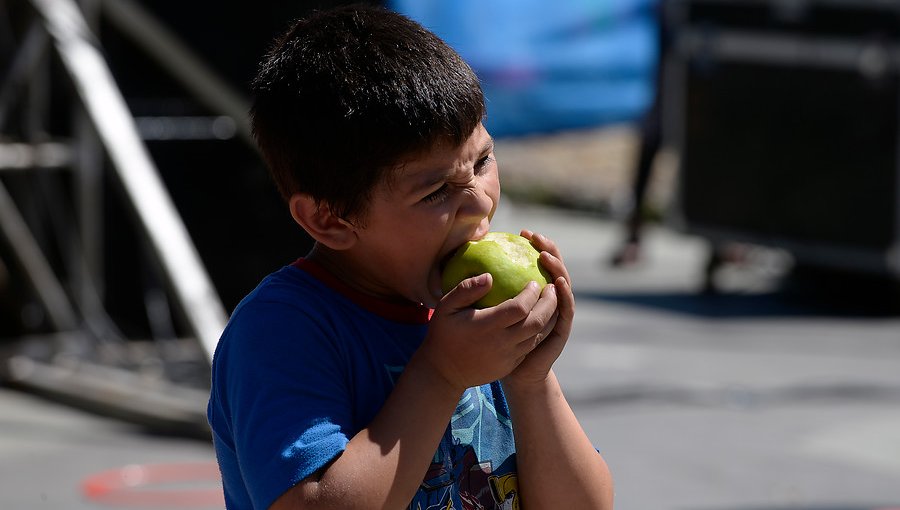 Ranking internacional ubica a Chile como el país más saludable de Sudamérica