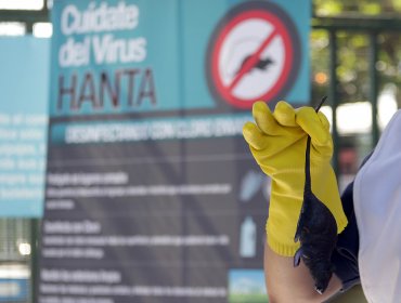 Confirman dos nuevos casos de virus Hanta en la región del Maule