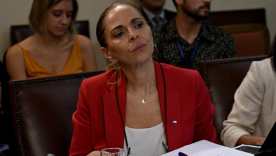 Ministra de la Mujer por caso Nido: "Deberán responder ante la justicia"