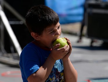 Ranking internacional ubica a Chile como el país más saludable de Sudamérica