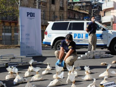 Duro golpe al narcotráfico: PDI Valparaíso incautó droga avaluada en $2.000 millones