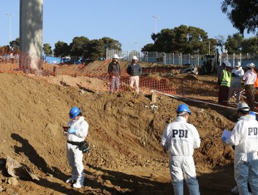 Osamentas encontradas en excavación en La Ligua son restos arqueológicos