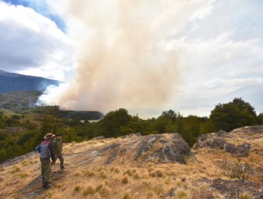 25 incendios forestales se mantienen activos en el país: se registran 65 siniestros
