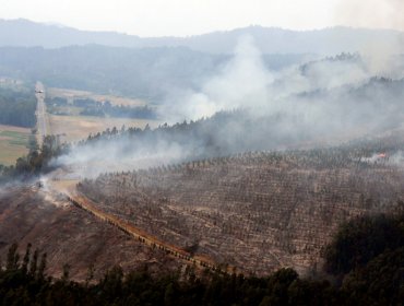 Infantes de marina sorprendieron a dos sujetos iniciando focos de incendio en comuna del Biobío