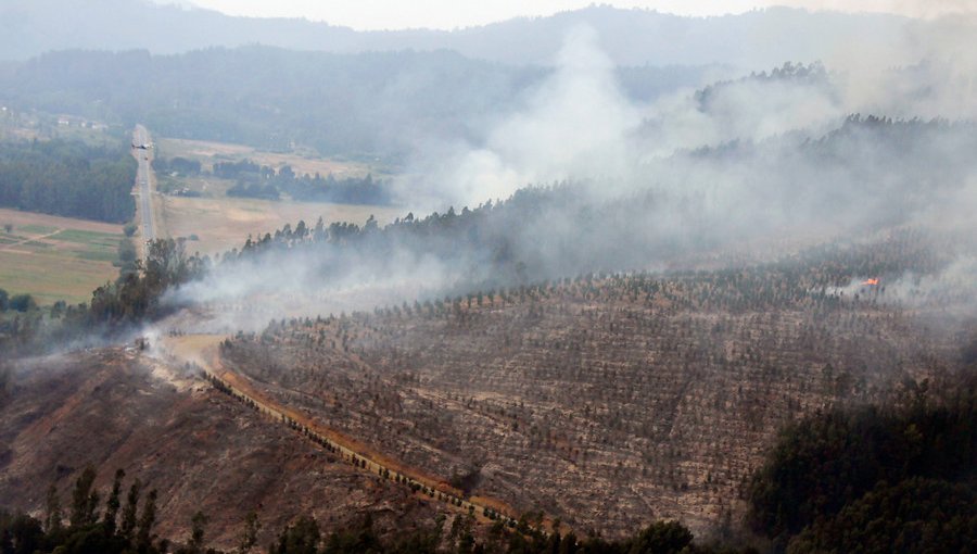 Infantes de marina sorprendieron a dos sujetos iniciando focos de incendio en comuna del Biobío