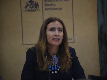 Quintero: Ministra de Medio Ambiente pasó de decir que "no" había observaciones al plan a "retirarlo" de Contraloría