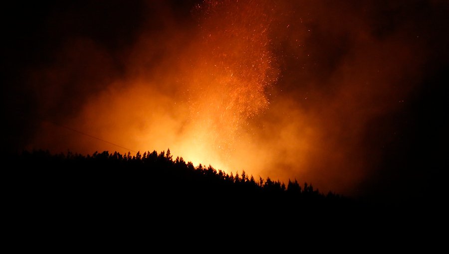 Detienen a 12 comuneros mapuche por portar elementos que podrían generar incendios