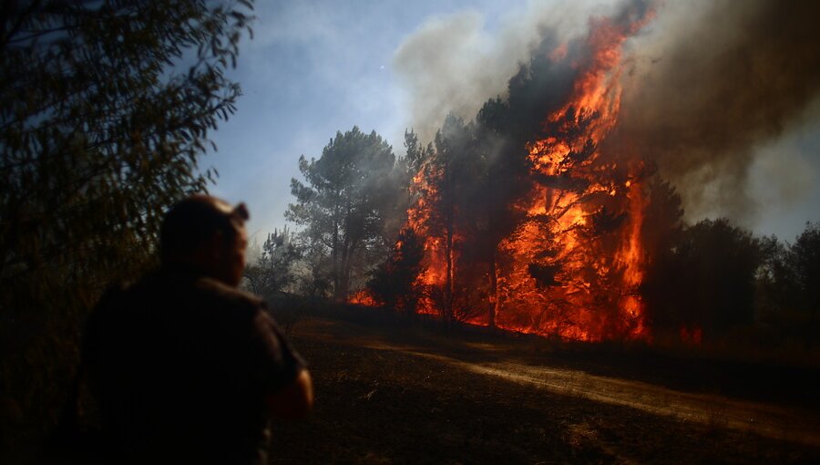 Incendio en Ercilla ha consumido 800 hectáreas: se mantiene la Alerta Roja