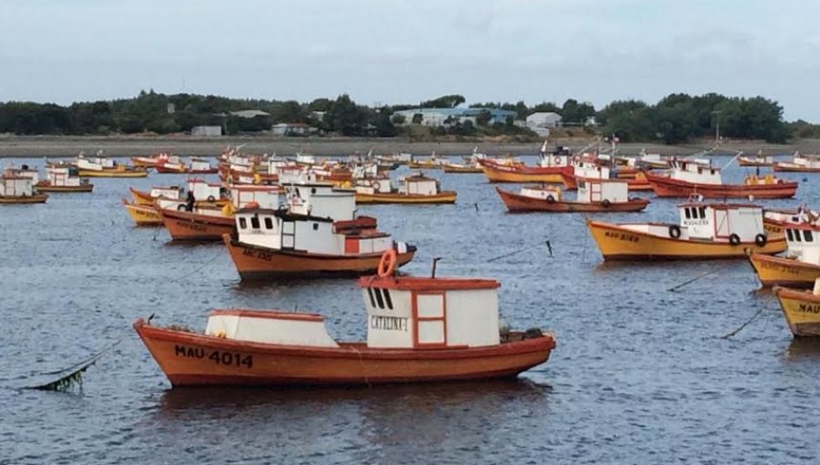 Destacan avances de proyecto que busca fortalecer a zonas de la región de Los Lagos